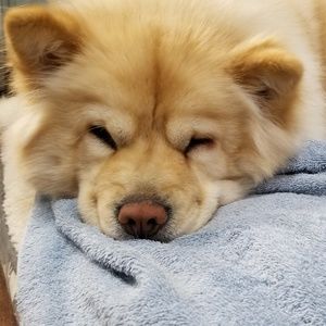 Meet your Posher, Janette